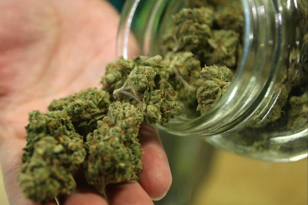 Top Reasons to Get Cannabis Online for Better Offers
